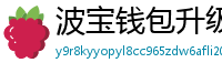 波宝钱包升级版本下载